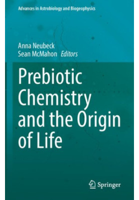 Prebiotic Chemistry and the Origin of Life