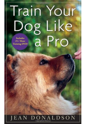 Train Your Dog Like a Pro.