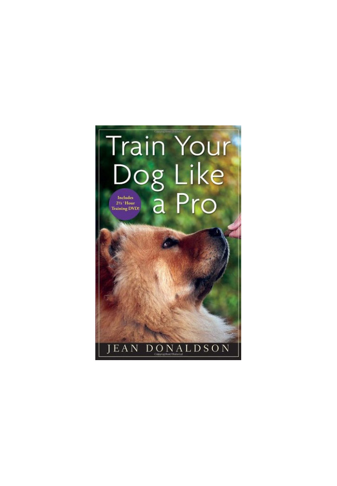 Train Your Dog Like a Pro.