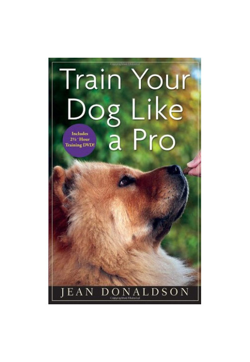 Train Your Dog Like a Pro.