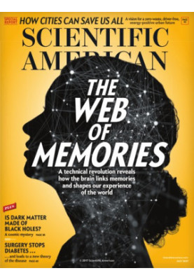 The Web of Memories (2017-7)