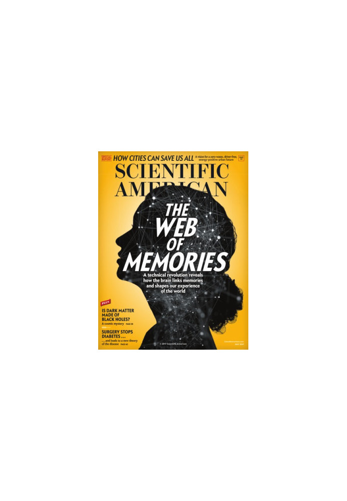 The Web of Memories (2017-7)