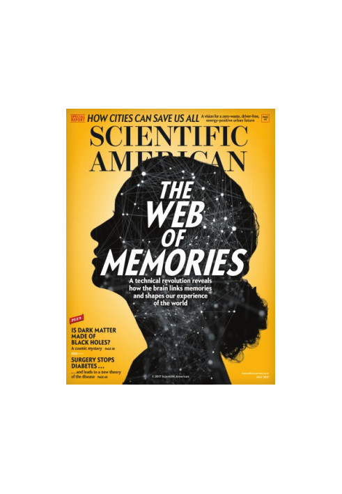 The Web of Memories (2017-7)