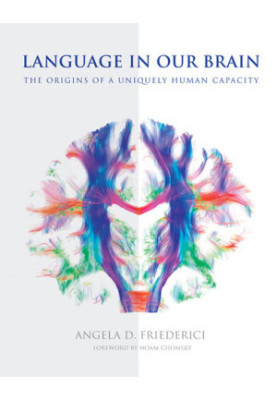 Language in Our Brain - The Origins of a Uniquely Human Capacity