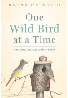 One Wild Bird at a Time