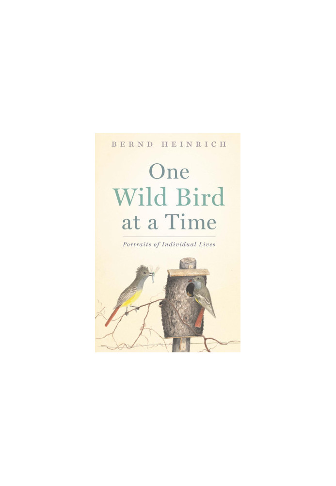 One Wild Bird at a Time