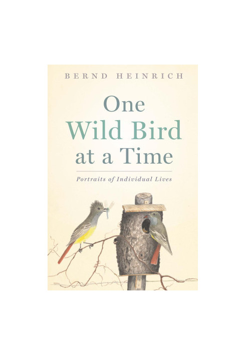 One Wild Bird at a Time