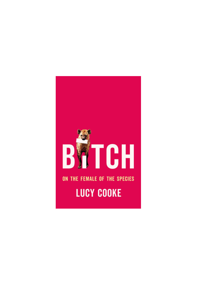 Bitch