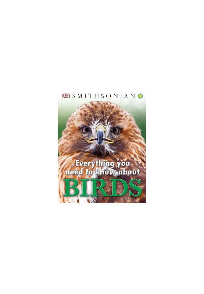 Everything You Need to Know About Birds
