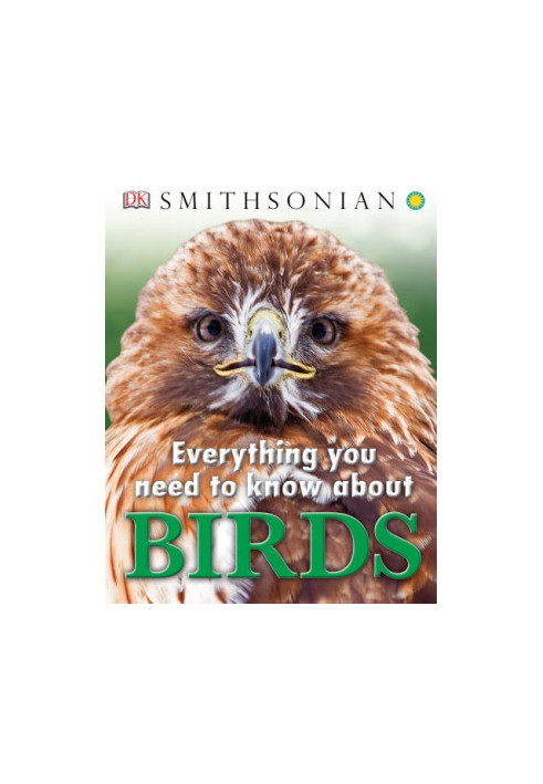 Everything You Need to Know About Birds