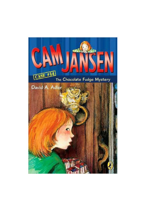 Cam Jansen and the Chocolate Fudge Mystery