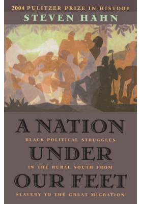 A Nation Under Our Feet: Black Political Struggles in the Rural South from Slavery to the Great Migration