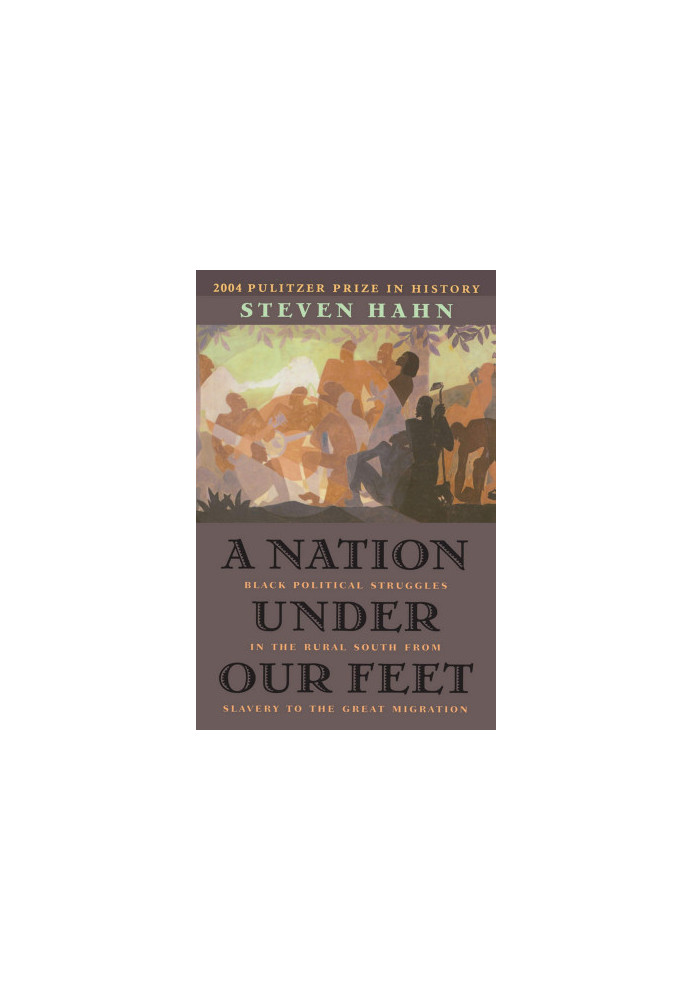 A Nation Under Our Feet: Black Political Struggles in the Rural South from Slavery to the Great Migration