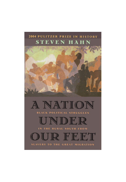 A Nation Under Our Feet: Black Political Struggles in the Rural South from Slavery to the Great Migration