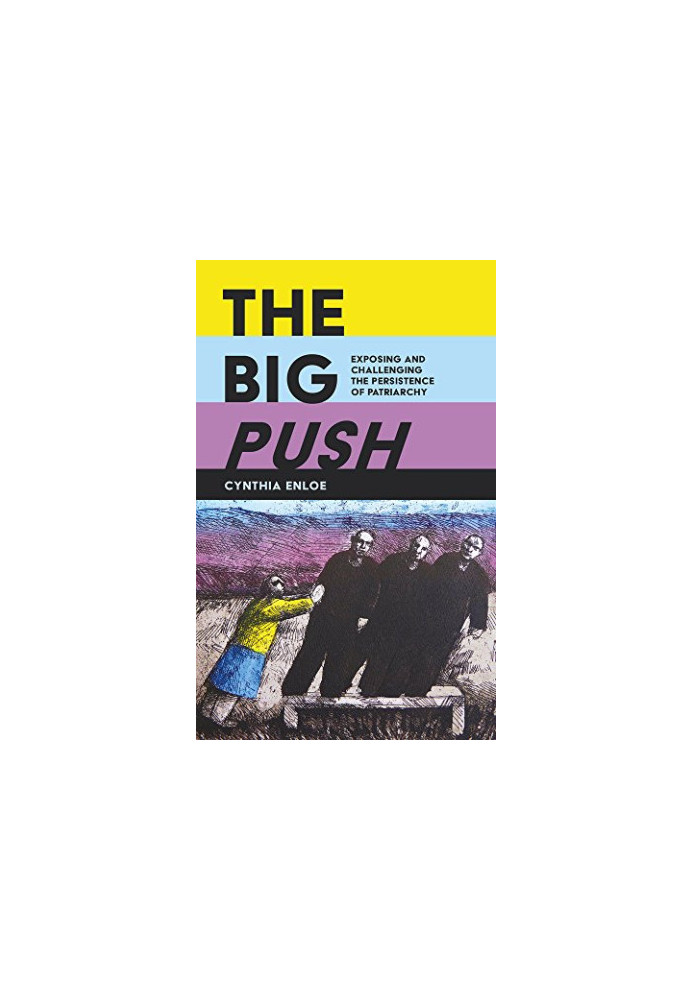 The Big Push Exposing and Challenging the Persistence of Patriarchy