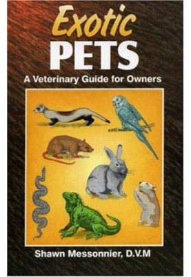 Exotic pets - a veterinary guide for owners