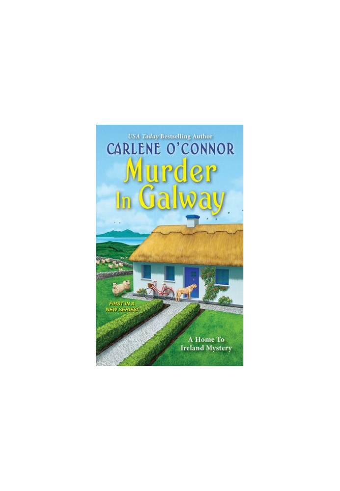 Murder in Galway (Home to Ireland Mystery 1)