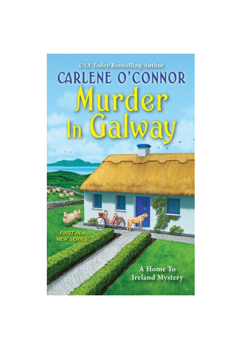 Murder in Galway (Home to Ireland Mystery 1)