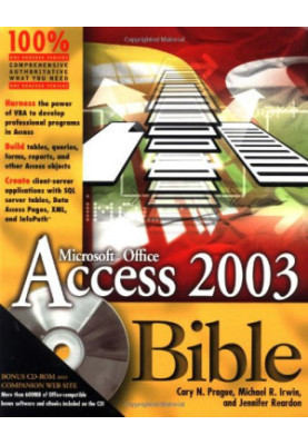 Access 2003 Bible