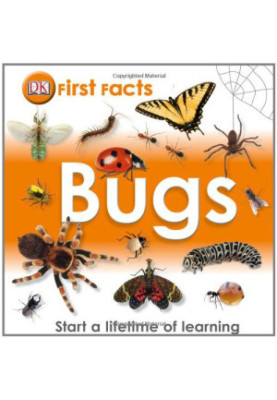 First Facts: Bugs