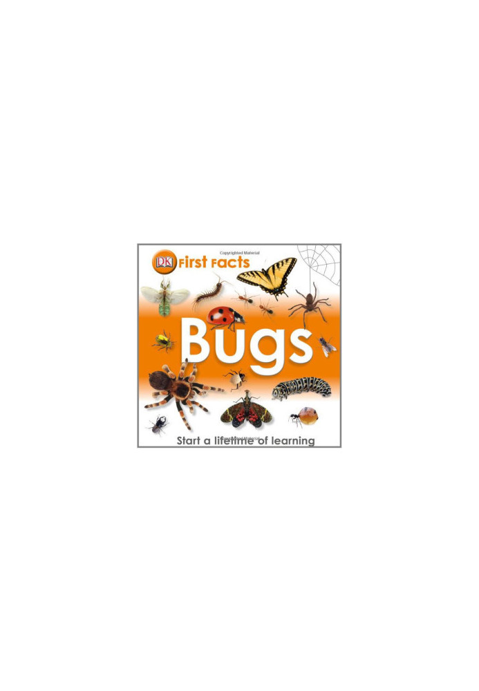 First Facts: Bugs