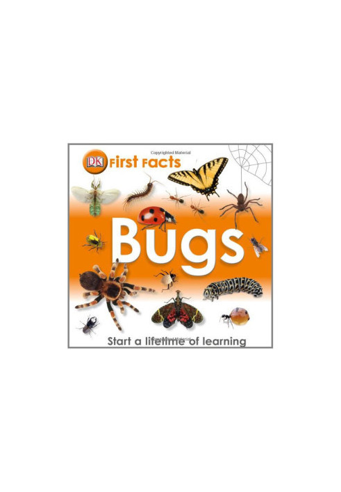First Facts: Bugs
