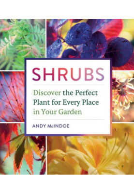 Shrubs: discover the perfect plant for every place in your garden