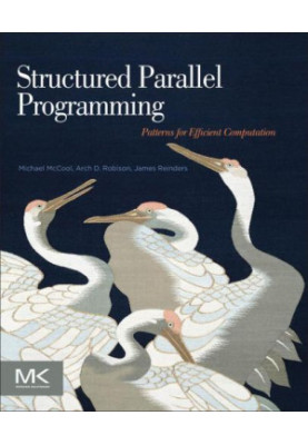 Structured Parallel Programming: Patterns for Efficient Computation