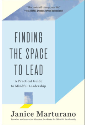 Finding the space to lead : a practical guide to mindful leadership