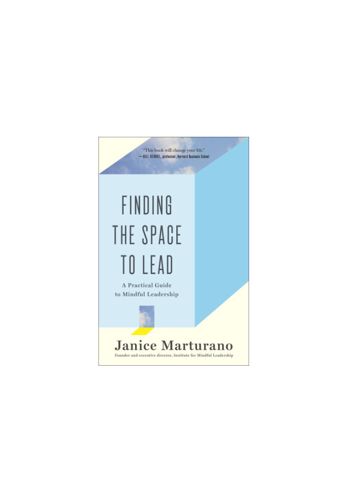Finding the space to lead : a practical guide to mindful leadership
