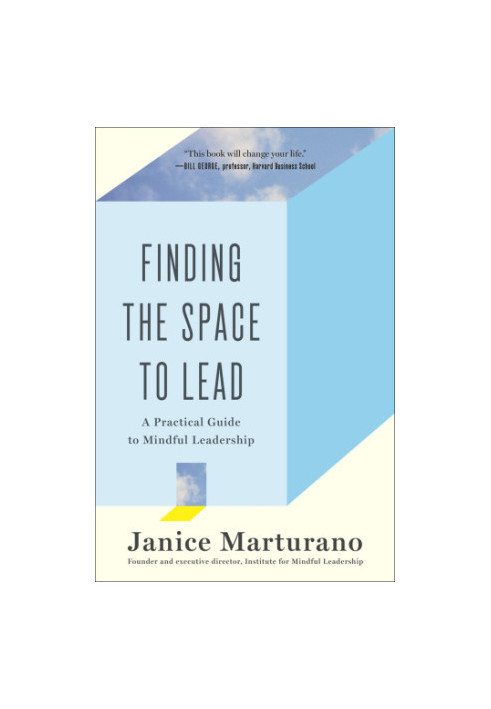 Finding the space to lead : a practical guide to mindful leadership