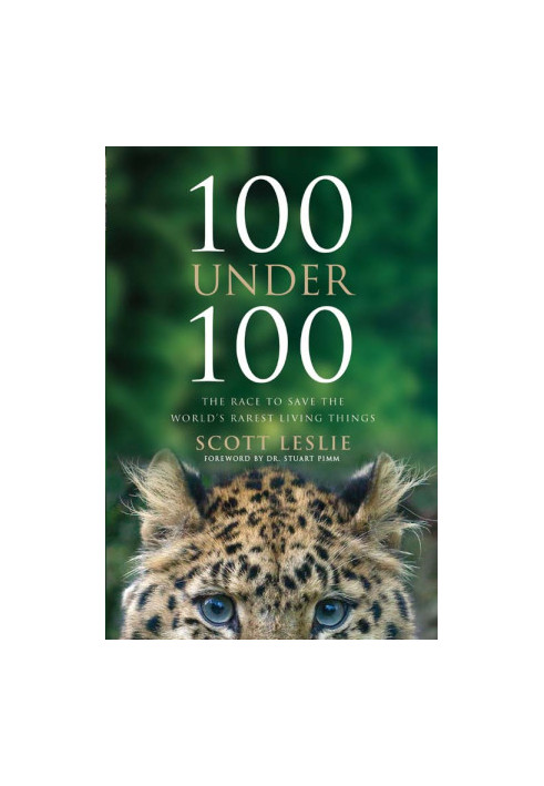 100 Under 100