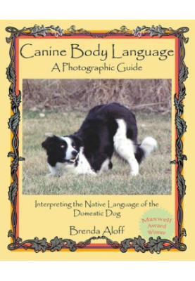 Canine Body Language