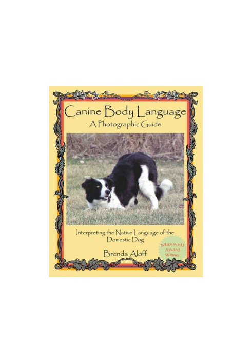 Canine Body Language