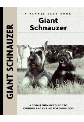 Giant Schnauzer