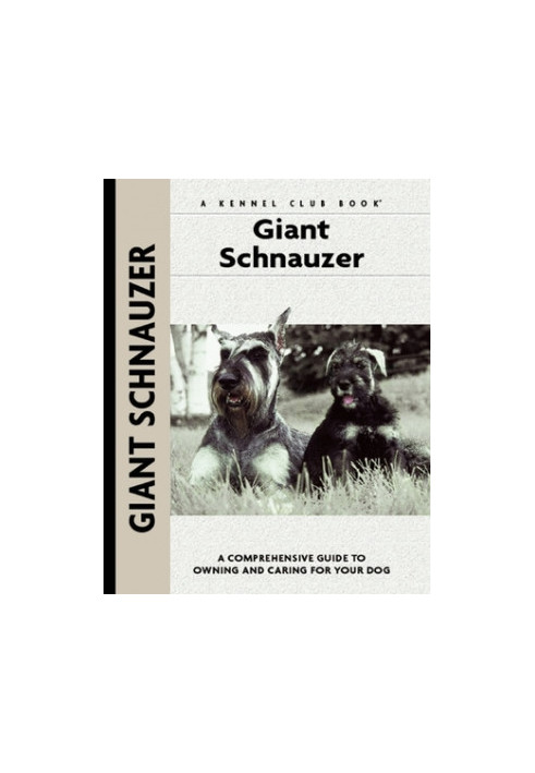 Giant Schnauzer