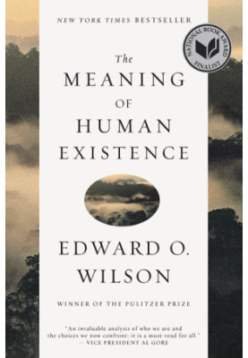 The Meaning of Human Existence (The Anthropocene Epoch 2)