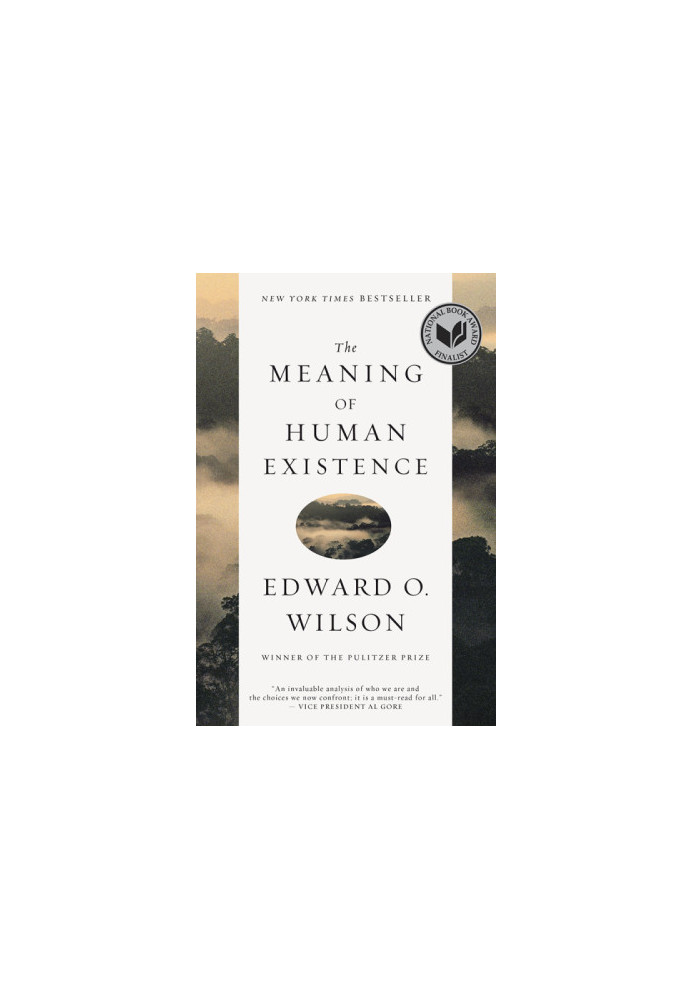 The Meaning of Human Existence (The Anthropocene Epoch 2)