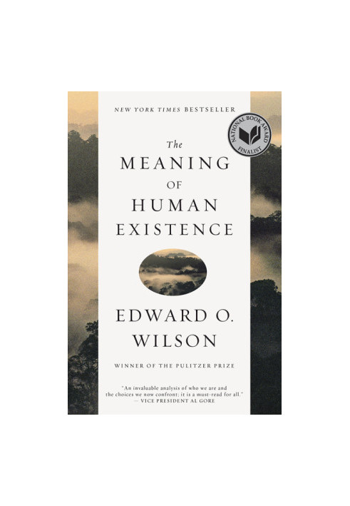The Meaning of Human Existence (The Anthropocene Epoch 2)