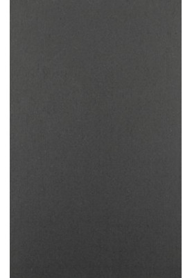 The little magazine in contemporary America