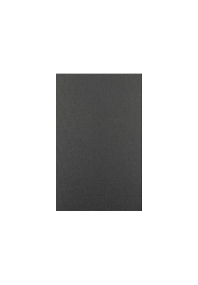The little magazine in contemporary America