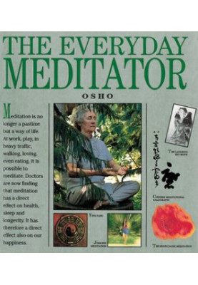 The Everyday Meditator