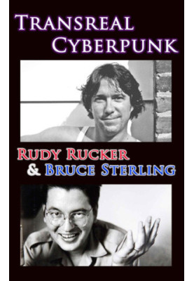 Transreal Cyberpunk