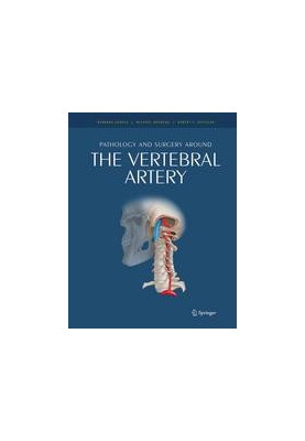 Pathology and surgery around the vertebral artery