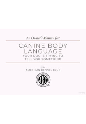 Canine Body Language
