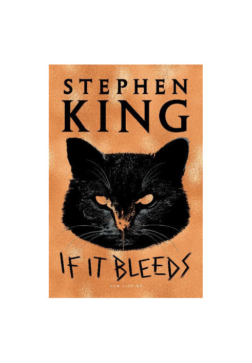 If It Bleeds - Holly Gibney 02