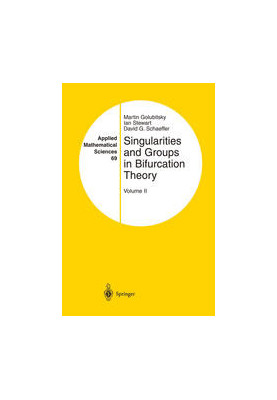 Singularities and Groups in Bifurcation Theory: Volume II