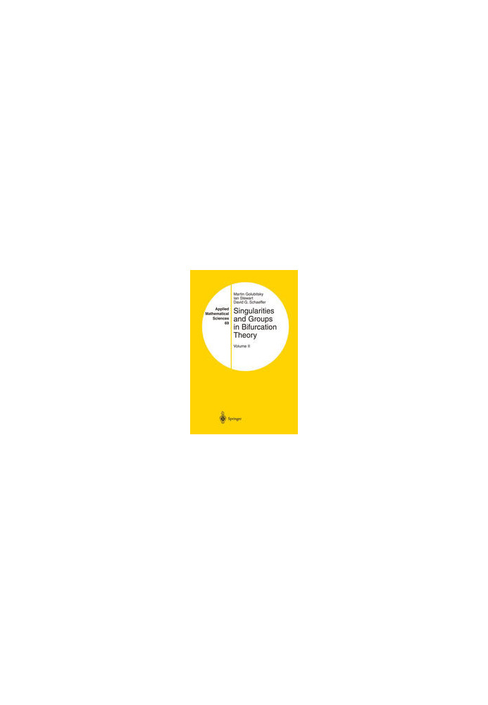 Singularities and Groups in Bifurcation Theory: Volume II