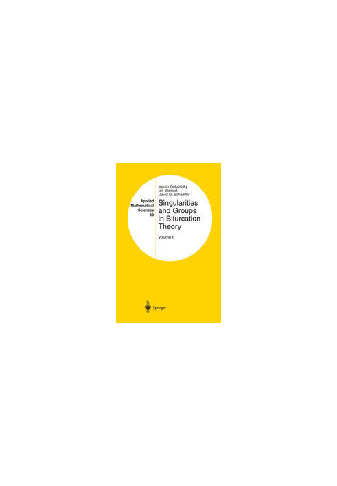 Singularities and Groups in Bifurcation Theory: Volume II