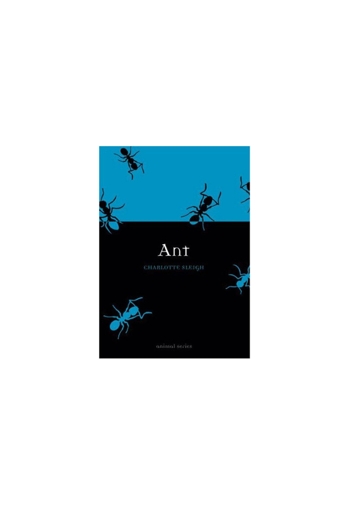 Ant (Animal)